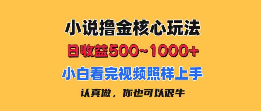 小说撸金核心玩法，日收益500-1000+，小白看完照样上手，0成本有手就行-佐帆副业网