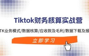 Tiktok财务核算实战营:TK业务模式/数据核算/应收款及毛利/数据下载及报表-佐帆副业网