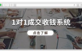 1对1成交 收钱系统,十年专注于引流和成交,全网130万+粉丝-佐帆副业网