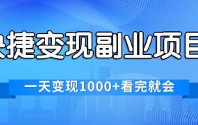 快捷变现的副业项目,一天变现1000+,各平台最火赛道,看完就会-佐帆副业网