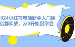 2024小红书电商新手入门课,店群实战,从0开始到学会(31节)-佐帆副业网