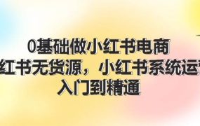0基础做小红书电商,小红书无货源,小红书系统运营,入门到精通 (70节)-佐帆副业网