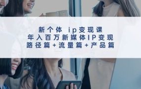 新个体 ip变现课,年入百万新媒体IP变现,路径篇+流量篇+产品篇-佐帆副业网