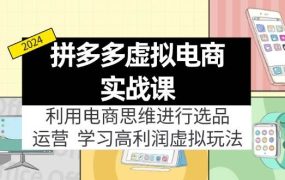拼多多虚拟电商实战课:利用电商思维进行选品+运营,学习高利润虚拟玩法-佐帆副业网