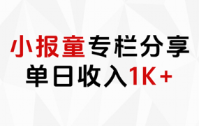 小报童专栏分享，当日收入1K+-佐帆副业网
