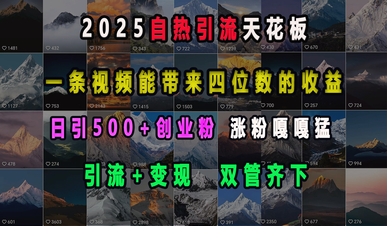 2025自热引流天花板，一条视频能带来四位数的收益，引流+变现双管齐下，日引500+创业粉，涨粉嘎嘎猛-佐帆副业网