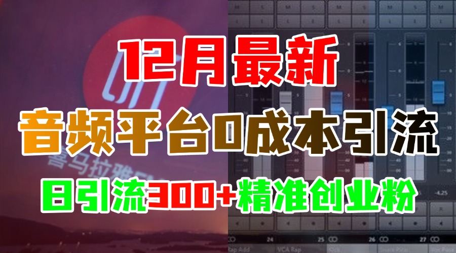 12月最新：音频平台0成本引流，日引300+精准创业粉-佐帆副业网