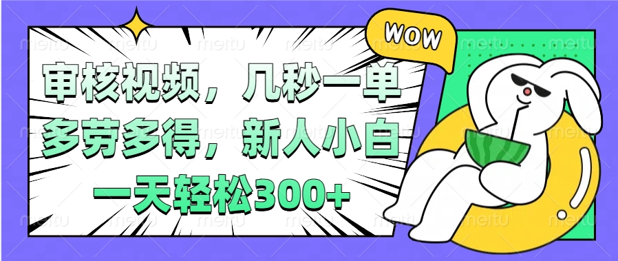 视频审核项目，几秒一单，多劳多得，新人小白一天轻松300+-佐帆副业网