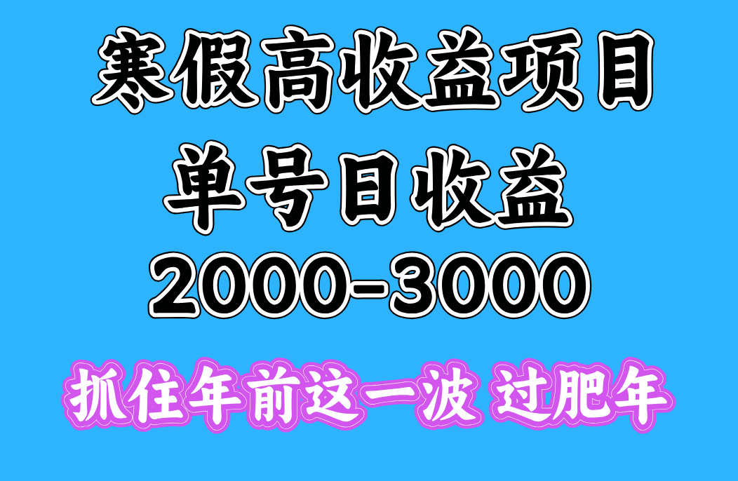 寒假期间一天收益2000-3000+，抓住年前这一波-佐帆副业网