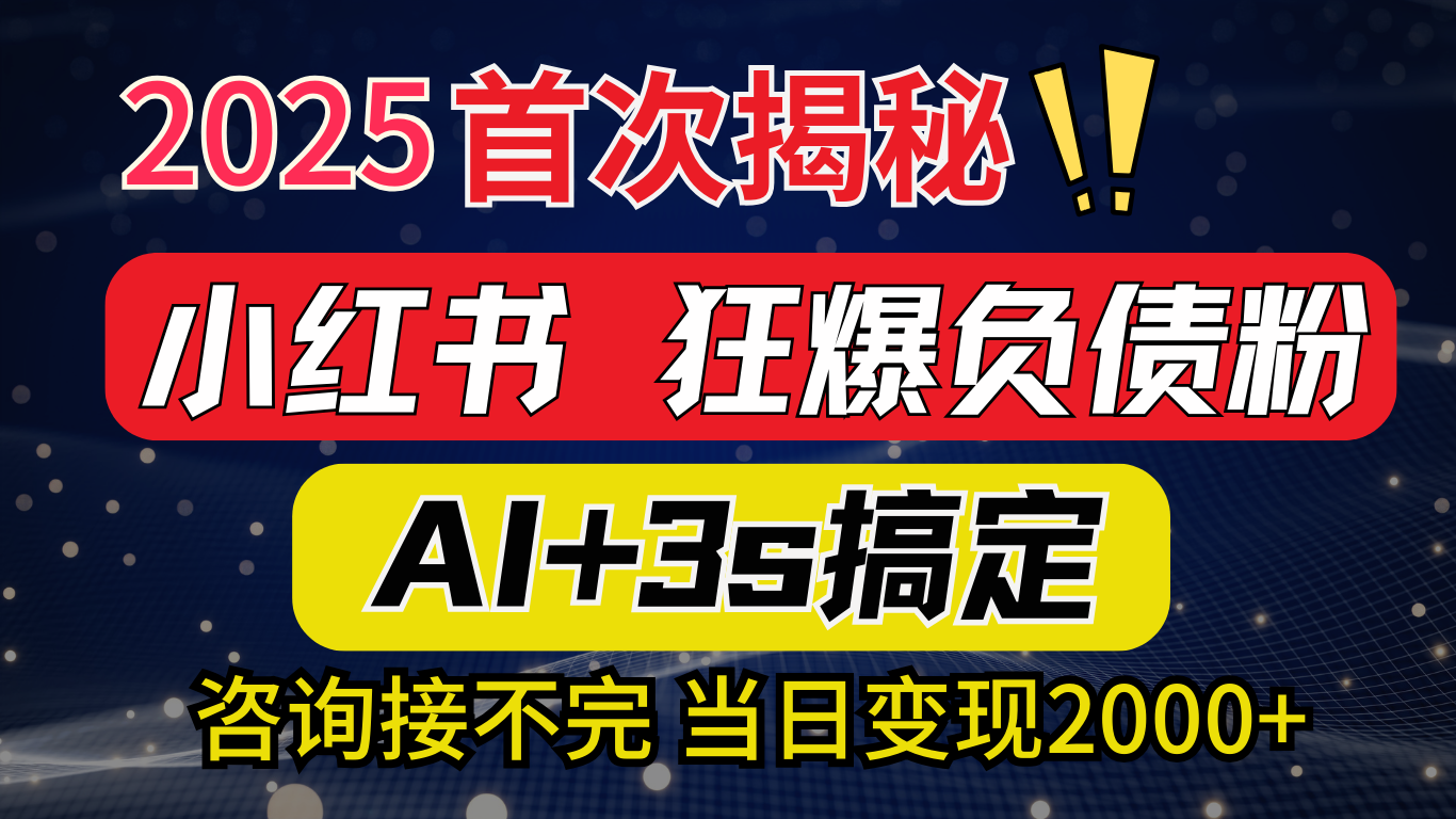 2025引流天花板：最新小红书狂暴负债粉思路，咨询接不断，当日入2000+-佐帆副业网