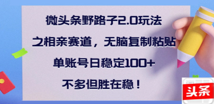 全网首发微头条野路子2.0玩法之相亲赛道，无脑搬砖复制粘贴，单账号日稳定300+保姆级教程-佐帆副业网