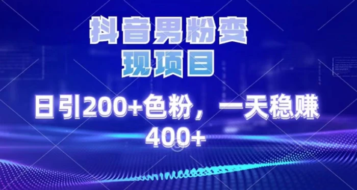 2025最新男粉项目 日引200 轻松月入2w+-佐帆副业网