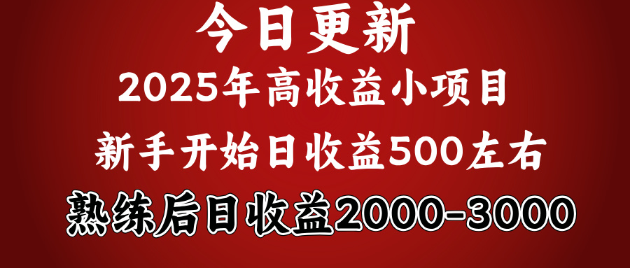 好项目一眼就能看出来，日收益1000，长久可做，2025拼的就是我比你勤奋-佐帆副业网