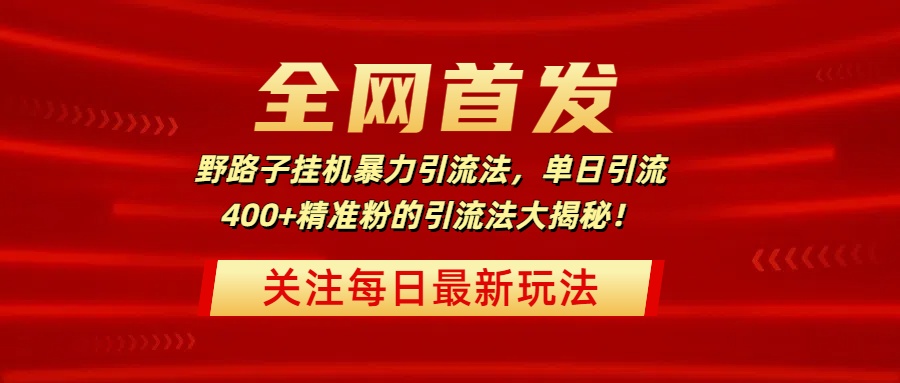 全网首发，野路子挂机暴力引流法，单日引流400+精准粉的引流法大揭秘！-佐帆副业网