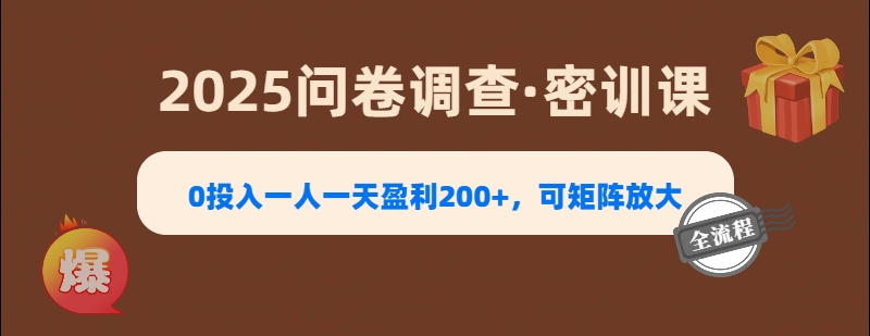 2025《问卷调查》0投入一人一天盈利200+，可矩阵放大-佐帆副业网