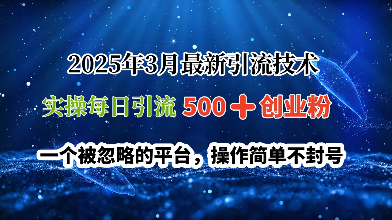 2025年3月最新引流技术，实操每日引流500➕创业粉，一个被忽略的平台，操作简单不封号-佐帆副业网
