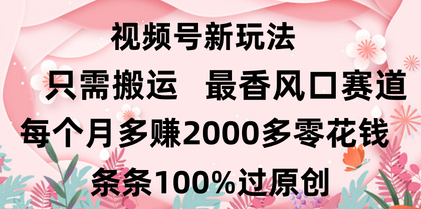 日入2000+，条条100%过原创，视频号最香风口赛道，小白轻松上手-佐帆副业网