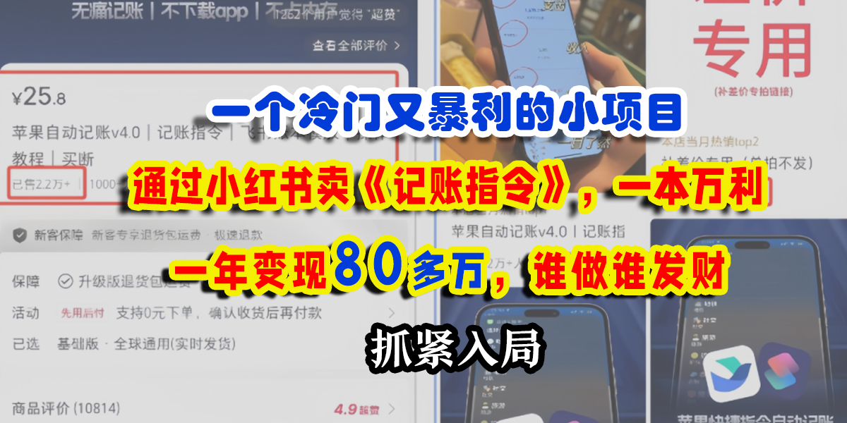 一个冷门又暴利的小项目，通过小红书卖《记账指令》，一本万利，一年变现80多万，谁做谁发财-佐帆副业网