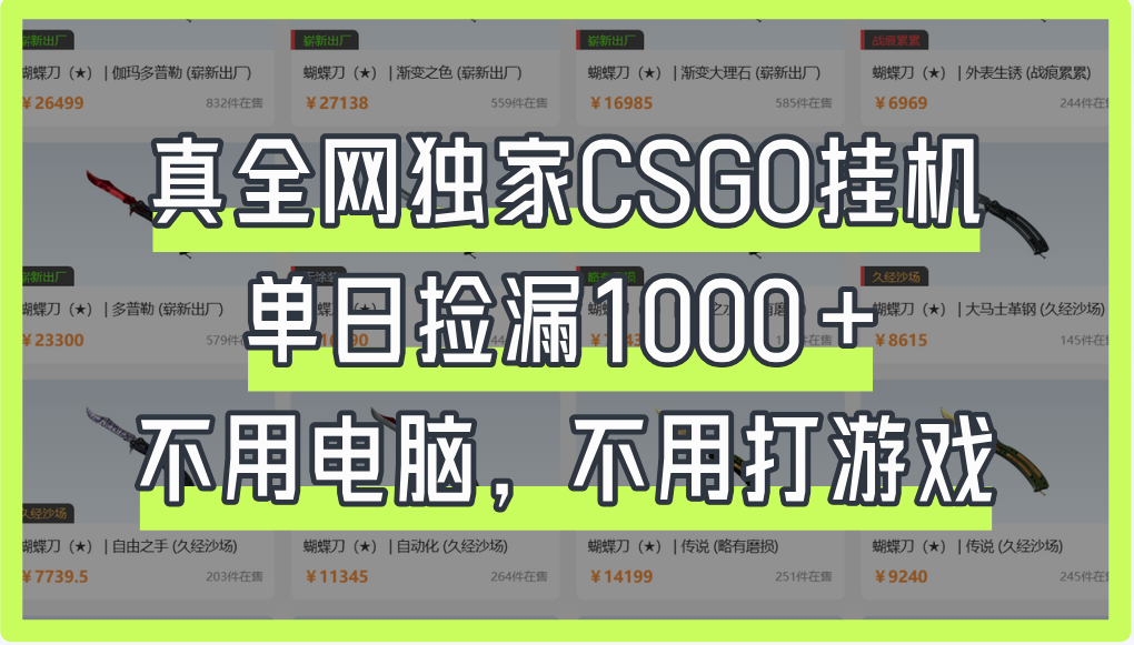 真全网独家CSGO挂机，单日捡漏1000+-佐帆副业网
