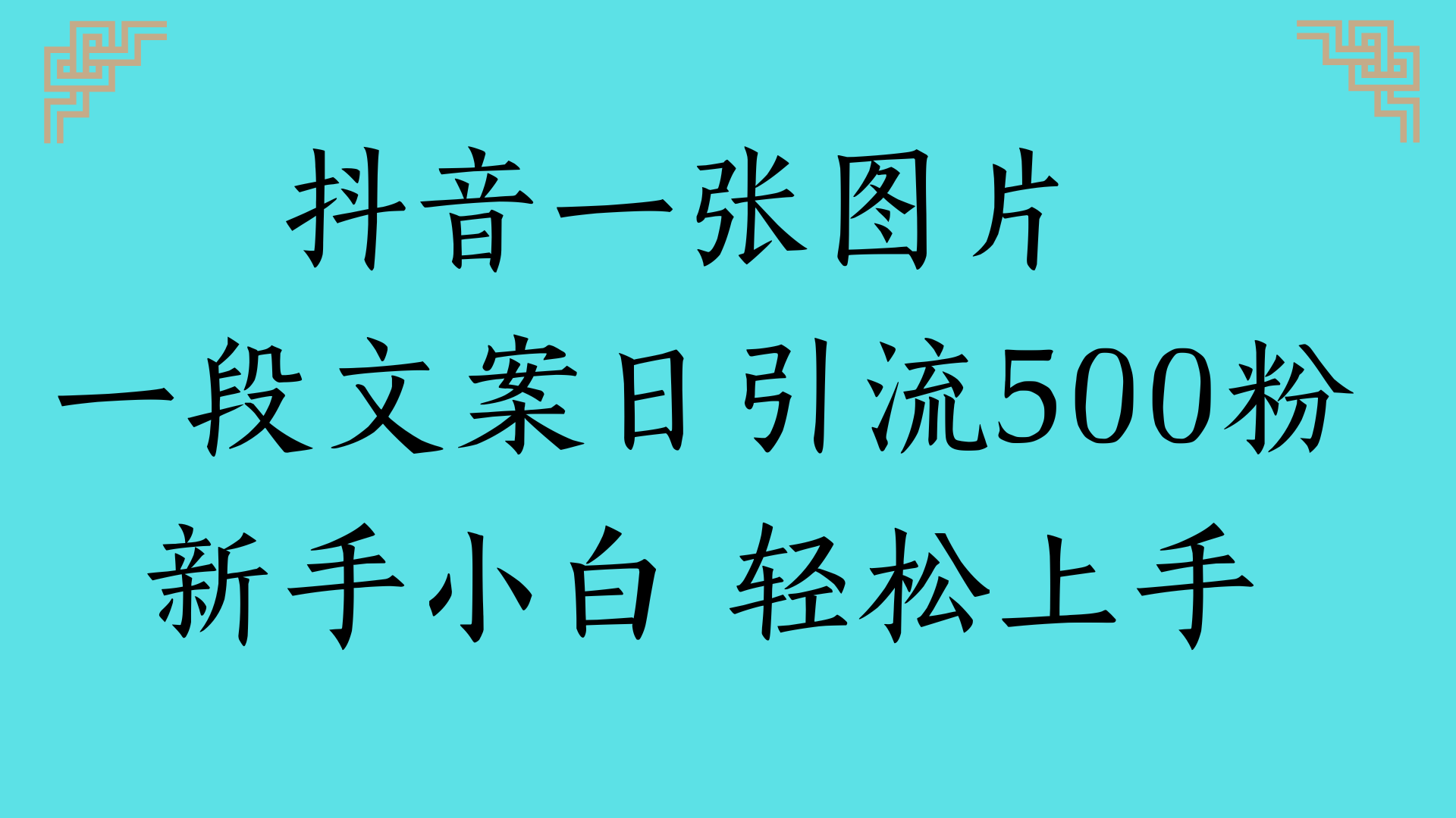 抖音一张图片 一段文案日引流500粉新手小白 轻松上手-佐帆副业网