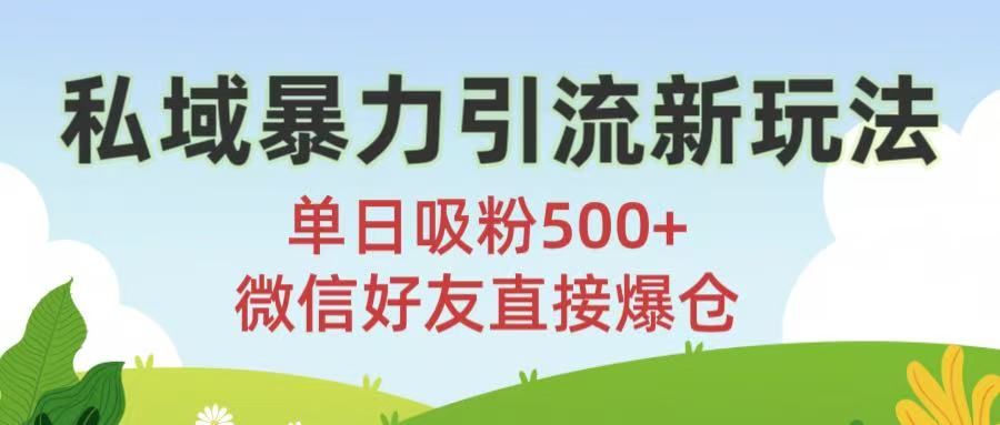 私域暴力引流新玩法!单日吸粉500+，微信好友直接爆仓-佐帆副业网