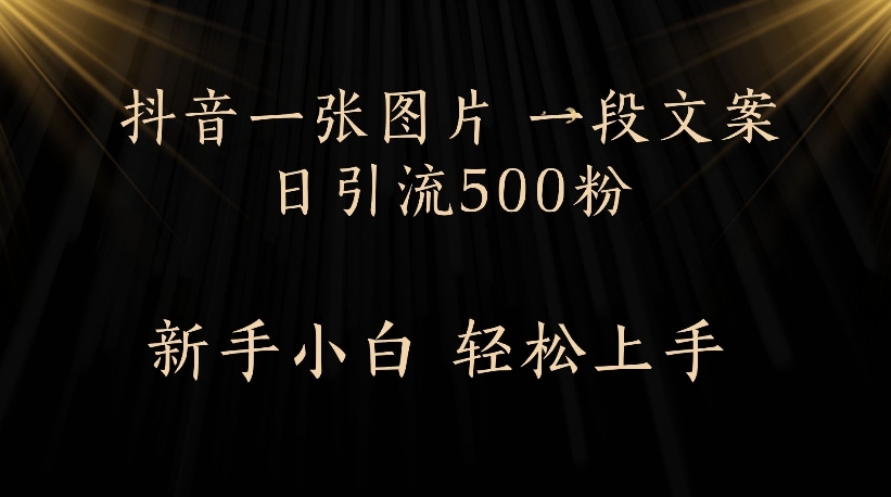 抖音一张图片，一段文案日引流500粉，新手小白 轻松上手-佐帆副业网