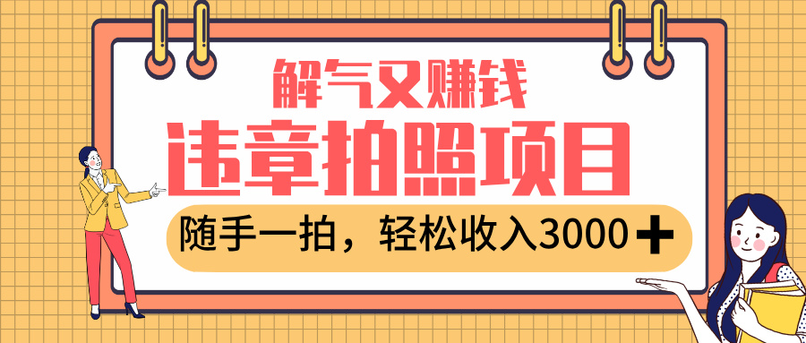 最新违章拍照赚钱，解气又赚钱的项目，随手一拍，轻松收入3000+-佐帆副业网