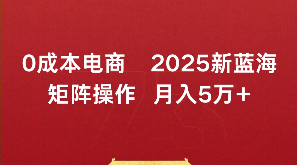 0成本电商2025新蓝海矩阵操作 月入5万+-佐帆副业网