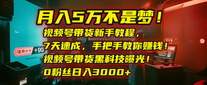 月入5万不是梦！视频号带货新手教程，7天速成，手把手教你赚钱！视频号带货黑科技曝光！0粉丝日入3000+-佐帆副业网