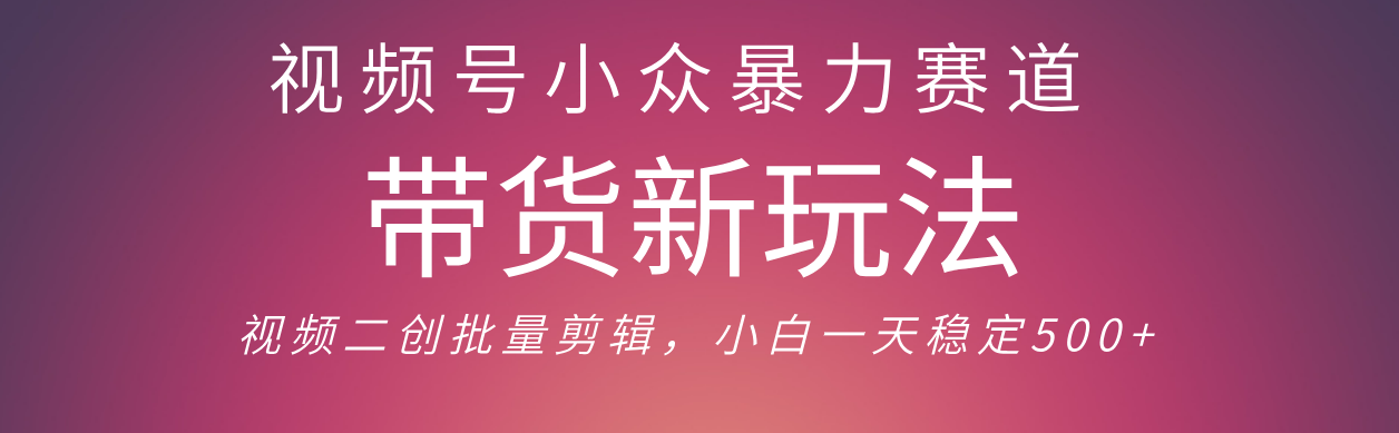 视频号小众暴力赛道，最新带货玩法 小白也能轻松日入500+ 保姆及教程-佐帆副业网