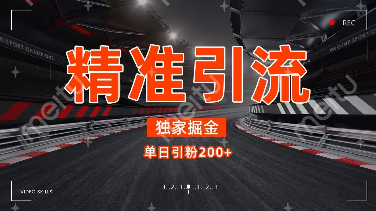 独家野路子精准引流 每日200+-佐帆副业网